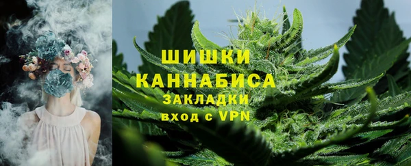 твердый Михайловск